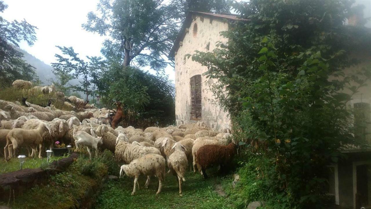 B&B L'Abric - Centro Storico Di Limonetto 利莫内皮埃蒙特 外观 照片